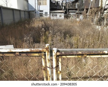 Vacant Lot With Weeds