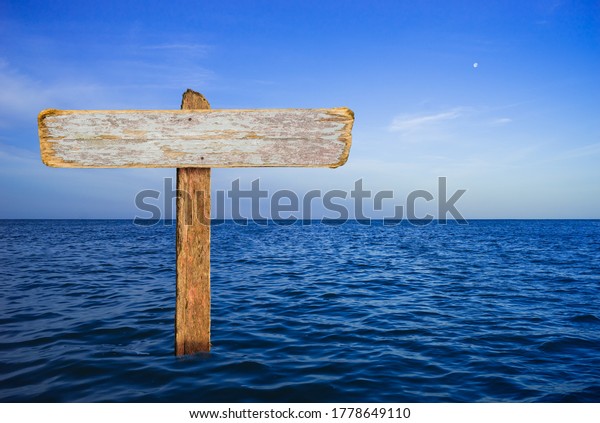 Vacation blue ocean and sky with moon and sign\
with copyspace made from\
driftwood