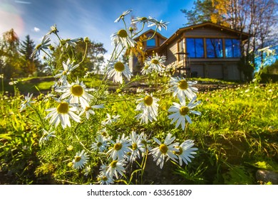 Vacation Home. Summer Landscape.