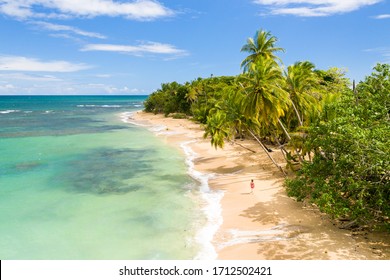 Vacation on the remote Caribbean sandy beach under the palms. - Shutterstock ID 1712502421