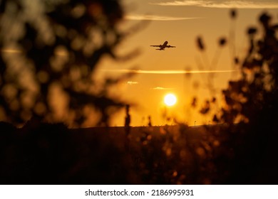 Vacation plane takes off in the evening against the light. Air vehicle over the airport, in the orange sky against the setting sun. Plants in the foreground. Bokeh. Germany, Stuttgart. - Powered by Shutterstock