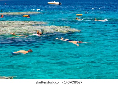 Snorkeling On Island Beach Cristal Clear Stock Photo (Edit Now) 478921594