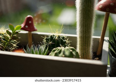 Vacti succulents aloe in pots ceramic cement boxes on sill of kitchen window overlooking backyard with grass wooden fence picnic tables fake wood clay toadstools mushrooms bunny torch cactus