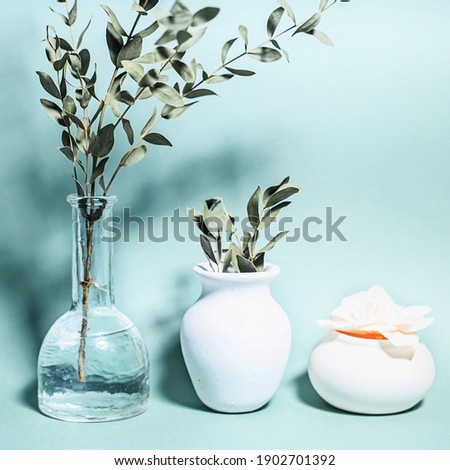 Vacuum therapy. Cup massage. Hijama