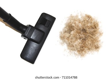 Vacuuming Pet Hair. Cleaning Down With Vacuum Cleaner Isolated On White Background