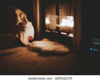 Vague Cozy Burning Fireplace With Skins And Wine In A Guest Room