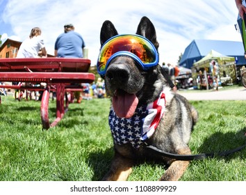 Vail, Colorado / USA - 06-08-18: GoPro Mountain Games German Shepherd With RecSpecs Dog Goggles