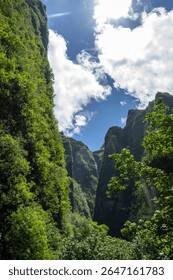 Vaipo waterfall flows down high cliffs in Hakaui valley, Nuku Hiva, French Polynesia. Surrounded by green jungle, this remote natural wonder is the highest waterfall in the Marquesas Islands