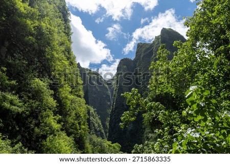 Vaipo waterfall flows down high cliffs in Hakaui valley, Nuku Hiva, French Polynesia. Surrounded by green jungle, this remote natural wonder is the highest waterfall in the Marquesas Islands