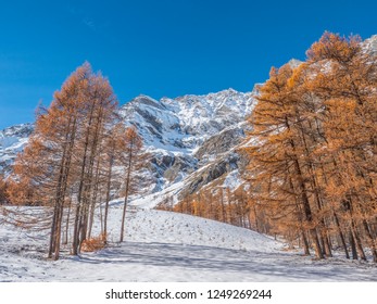 Val di Rhemes, Rhemes Notre Dame, Aosta - 2018 December 1: Gran Paradiso National Park in Val d'Aosta, Aosta, Italy. - Shutterstock ID 1249269244