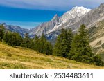 Val Ferret mountain landscape of a green valley in autumn. Tour du Montblanc hiking route scene. Snow and glacier mountain summit peak above the valley in Courmayeur, Itlay