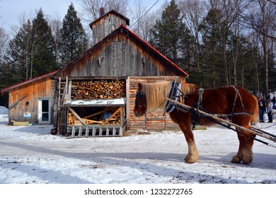 Imagenes Fotos De Stock Y Vectores Sobre Tan Tale Shutterstock