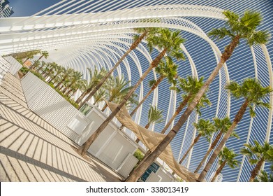 Valencia Museum Path