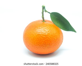 Valencia Oranges On White Background