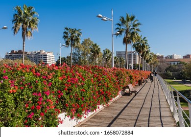 Valencia – Puente De Las Flores Bridge, Spain