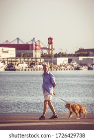 Valencia , Spain , 2019 , Older Man Walking The Dog In The Port