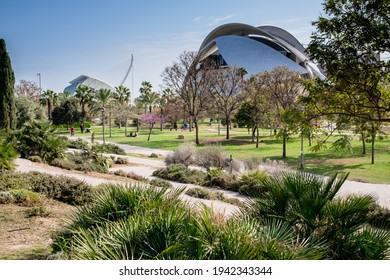 Valencia, Spain: partial view of the Jardí del Túria (Túria gardens), a public park with cycle ways, footpaths, sports facilities as well as the futuristic City of Arts and Sciences in the background