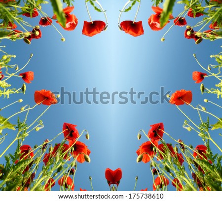 Similar – Rote Mohnblumen und Mohnknospen vor blauem Himmel