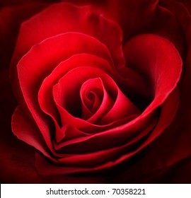 Valentine Red Heart Rose