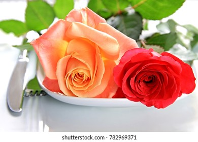 Valentine Roses Knife And Fork And Plate No People Stock Photo