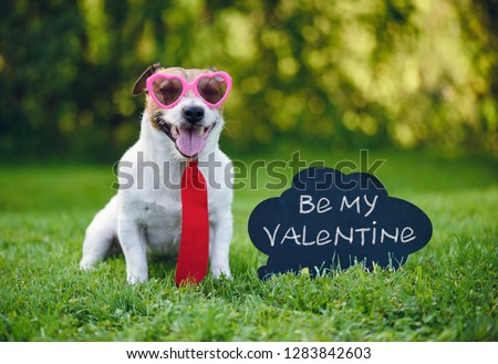 Valentines card greeting with dog wearing tie and glasses next to inscription on blackboard  