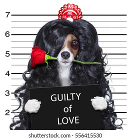 Valentines Crazy And Silly Dog With Rose In Mouth As A Mugshot Guilty Of Love, At The Police Department