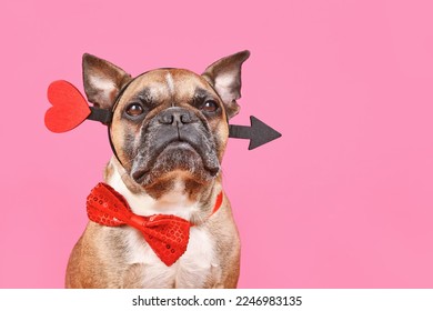 Valentine's Day French Bulldog dog with cupid love arrow and bow tie on pink background with copy space - Shutterstock ID 2246983135