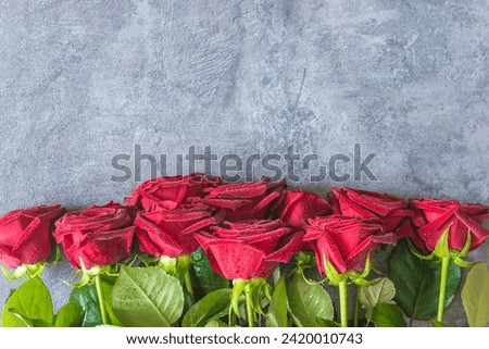 Valentines day greeting card template; Frame of red roses with waterdrops on a gray textured background; copy space