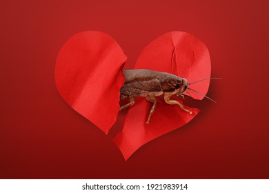 Valentine's Day Promotion Name Roach - QUIT BUGGING ME. Cockroach And Torn Paper Heart On Red Background