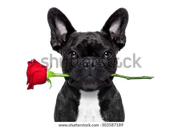 Ilmainen Ranskan dating site Ranska