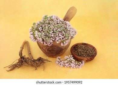 Valerian herb flowers and dried root. Used in herbal medicine as a sedative and to treat insomnia, anxiety, headaches, menopause symptoms, muscle pain and  fatigue. 