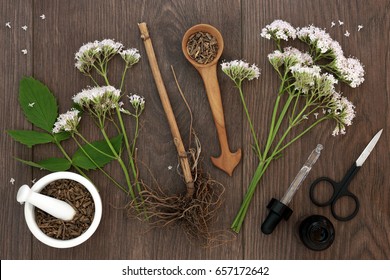 Valerian herb root and flowers with dropper bottle and mortar with pestle over oak background. Used as an alternative to valium in natural medicine. Is a sedative, adaptogen and nervine.