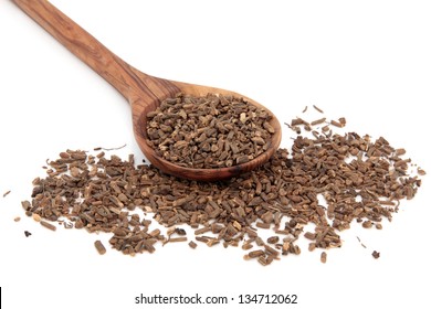 Valerian herb root in an olive wood spoon over white background. Valeriana.