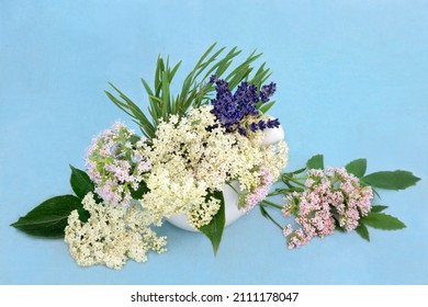 Valerian, Lavender And Elder Flower Herbs Used In Herbal Medicine In A Mortar. Used As A Tranquilizer To Treat Anxiety, Insomnia And As A Calming Medication. On Mottled Blue Background.