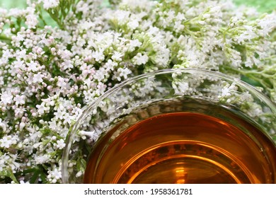 Valerian Tea On Green Boards