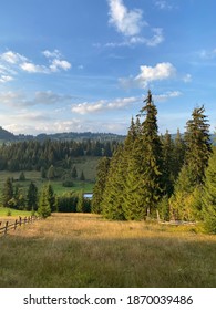 Valey betwen the mountains near Vatra Dornei