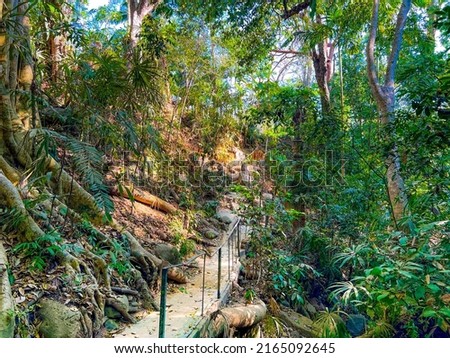 Vallarta Botanical Garden and Rainforest In Mexico