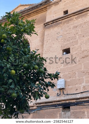 Similar – Image, Stock Photo Street with stone houses in the medieval village of Ainsa in the pyrenees, Aragon, Spain