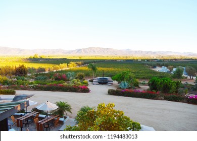 Valle De Guadalupe