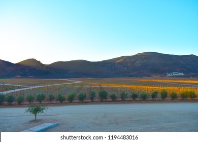 Valle De Guadalupe