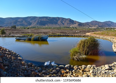 Valle De Guadalupe - Landscape