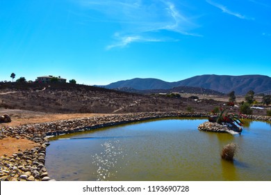 Valle De Guadalupe - Landscape