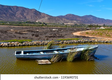 Valle De Guadalupe - Landscape