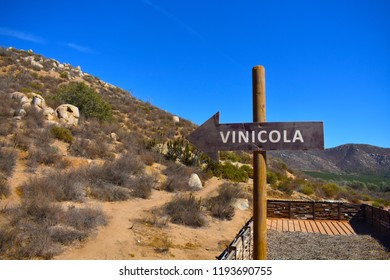 Valle De Guadalupe - Landscape