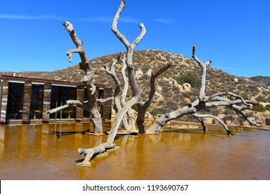 Valle De Guadalupe - Landscape