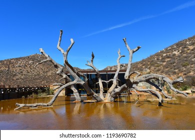 Valle De Guadalupe - Landscape