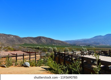 Valle De Guadalupe - Landscape