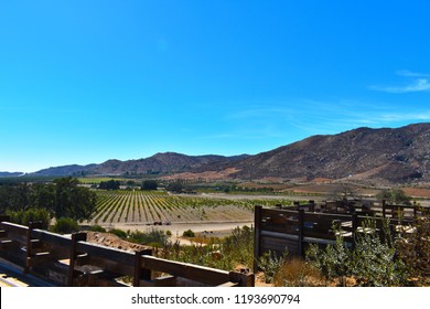 Valle De Guadalupe - Landscape