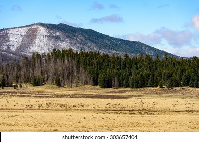 Valles Caldera National Preserve