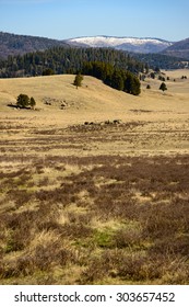 Valles Caldera National Preserve